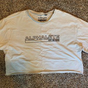 Small Alphalete Taupe Crop Tee